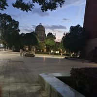 廣東TTG九尾