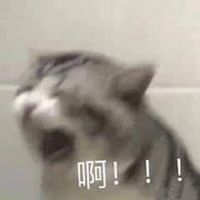 打工人的心声