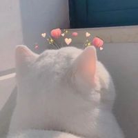 沈溺