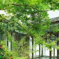 盈禄八宝粥