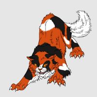 猫武士枫荫