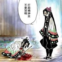 胡蝶姐妹