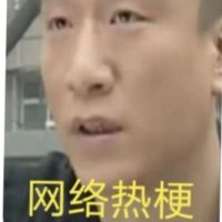 网络热梗同人