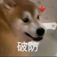 搞笑多CP