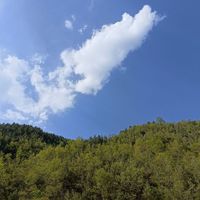 藍夜X星成
