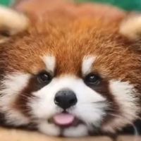 北风明月