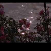 九品芝麻官