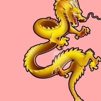 一条不谙世事的龙