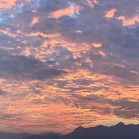 大概率友情向