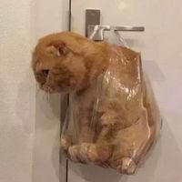 虚空荒主