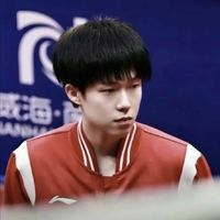 王艺迪