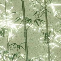 Be暗戀文