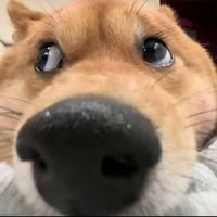 张真琦作品
