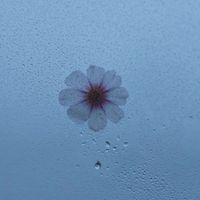 结局可能be