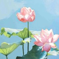 京圈太子爷x沈家小少
