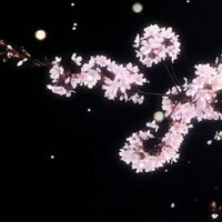 死循