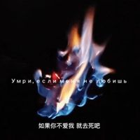 女主强取豪夺男主