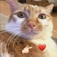 我爱甘草编编
