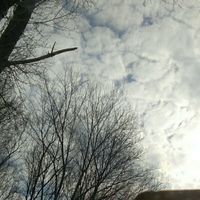 網(wǎng)球王子觀影