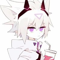 凹凸XCV