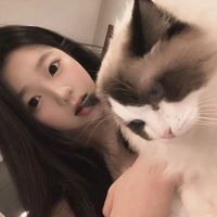 阿糊