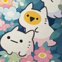 猫的视角