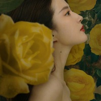 玫瑰的故事