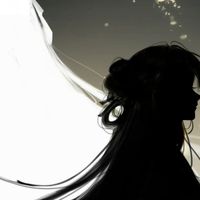 会持续更新的