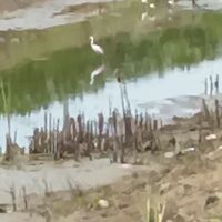叶遥X李承泽