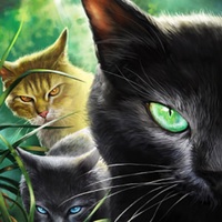猫武士雷族