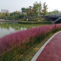 洛冰河x沈垣