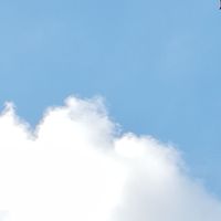 前期共创