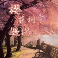 樱花树下遇你