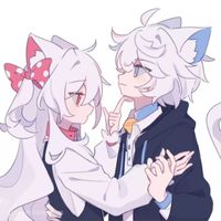 喜猫猫美猫猫