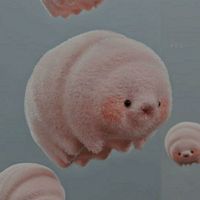 不会成为史莱克七怪