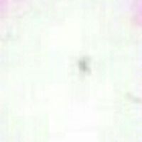 夢(mèng)實(shí)結(jié)合