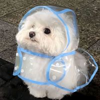 鱼香肉松