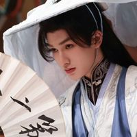 容颜绝代柳月公子