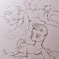 馬鴿