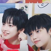 博宸