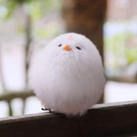 相柳毛球