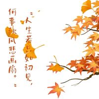 词中意