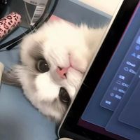 沈槿桉