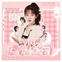 YHM虚拟公司