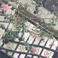 愛是種罪