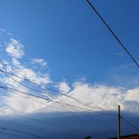 漫画路人自救指南