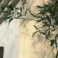 懸疑虐文