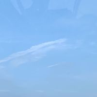 蘇泠淺