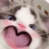 劇情尷尬