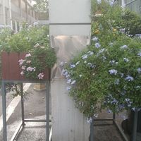 直球追妻